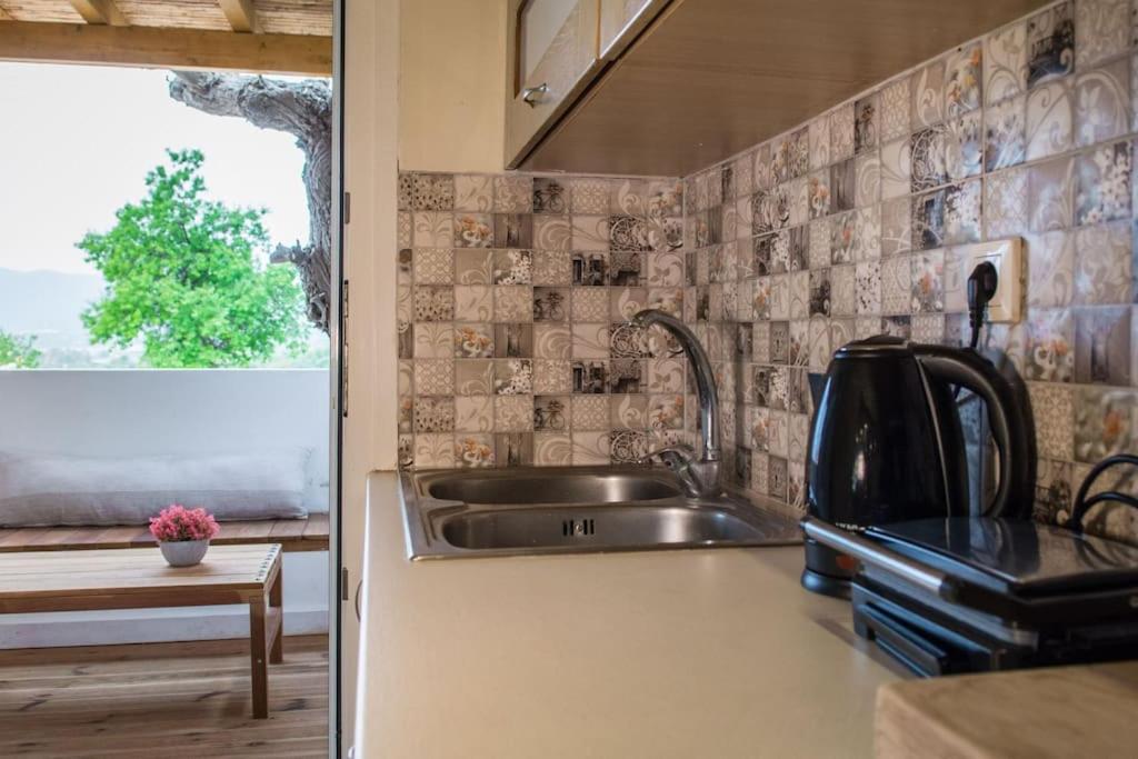 Alfa House W/ View & Barbeque In Pythagorion别墅 外观 照片